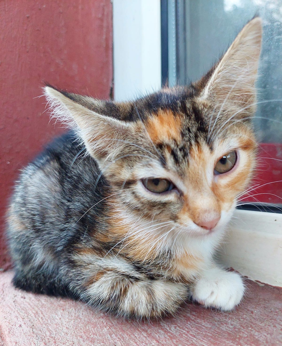 Artemis